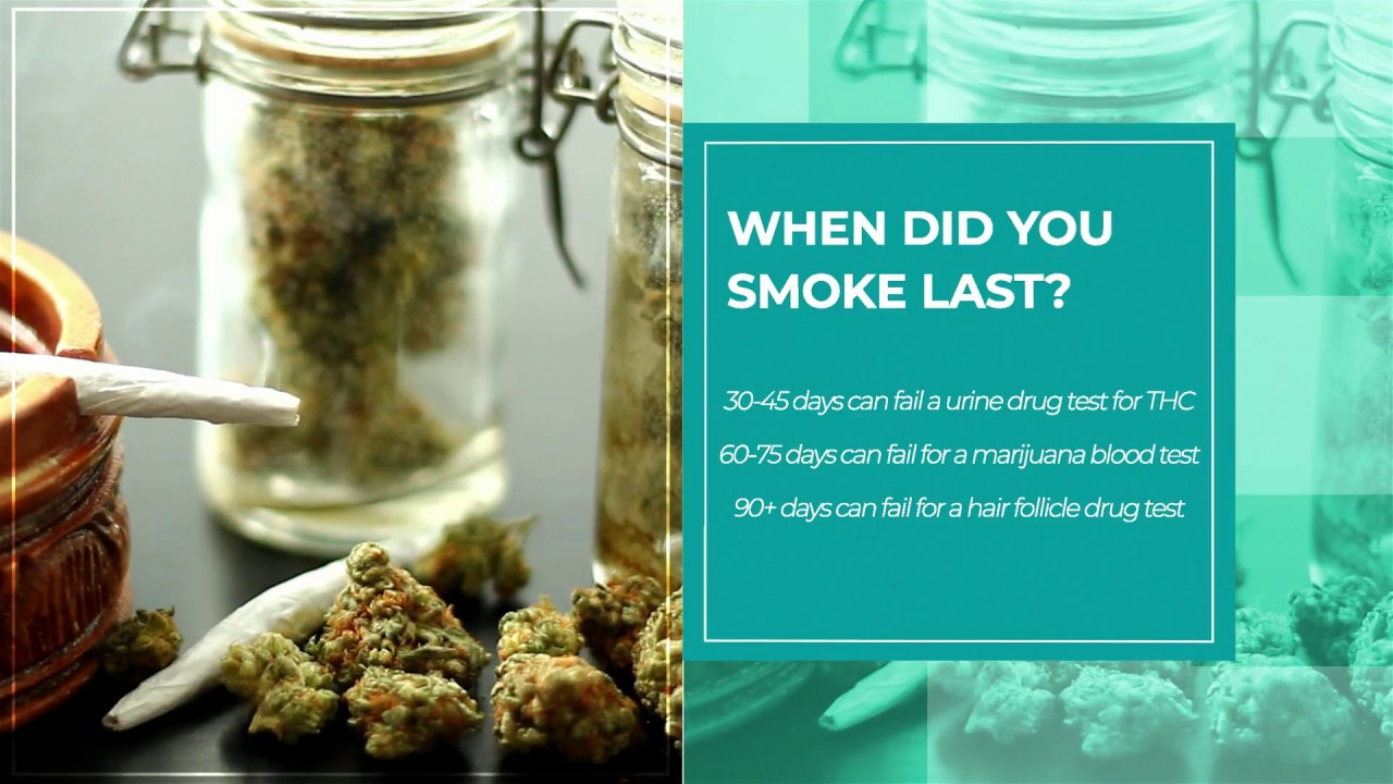 How Long Does Marijuana Stay In Your System? - 0720 Cannabis Club